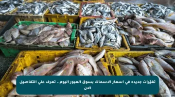 تغيّرات جديدة في أسعار الأسماك بسوق العبور اليوم.. تعرف على التفاصيل الآن